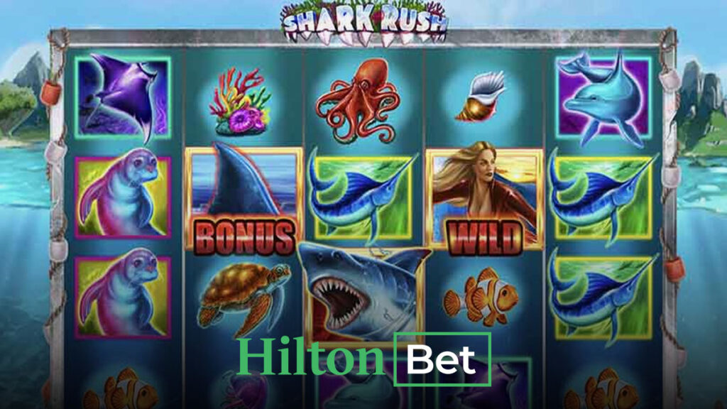 Hiltonbet Shark Rush oyunu